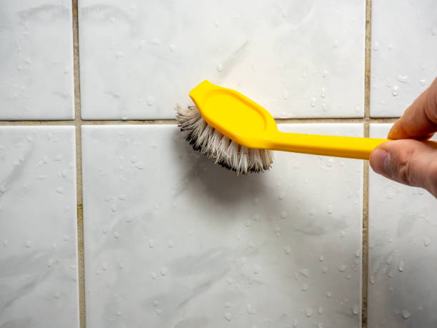 Best Mold Testing  in Bristol, TN