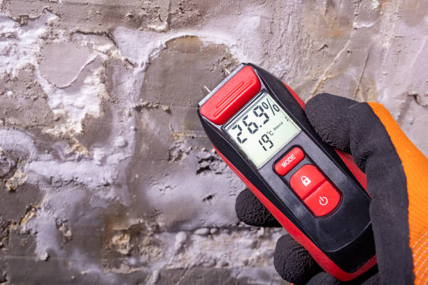 Best Home Mold Removal  in Bristol, TN